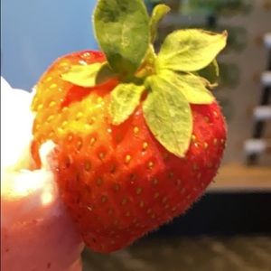 Meet your Posher, Fatin